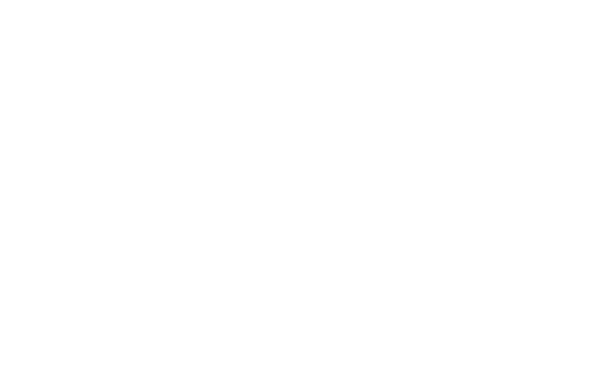 Circuito Vivo